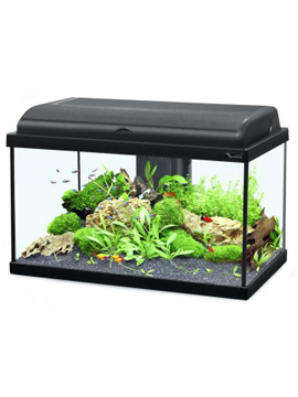 Aquario Kit Aquadream 60x30x40 001 LED