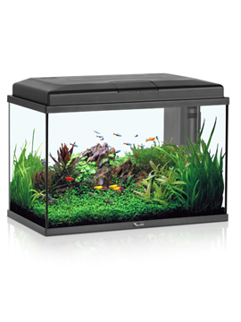 Aquario Kit Start 55L 55x30x35 LED Preto