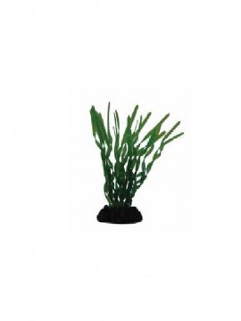 Planta Plastica 30 cm Valisneria spiralis