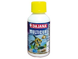 Dajana Multicure 100 ml