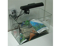 Aquario Kit Completo c/ Filtro+Iluminação 16 L p/ Agua Fria